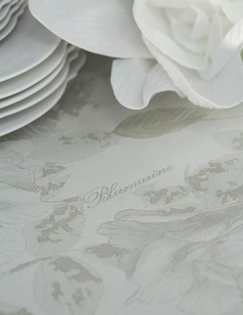 Nappe Dame Blumarine 61337