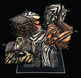 رداء مع ياقة شال African Zebra Roberto Cavalli 2013757